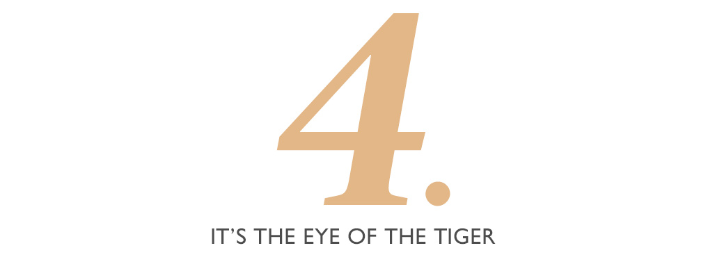 Interview tips - it's the eye of the tiger