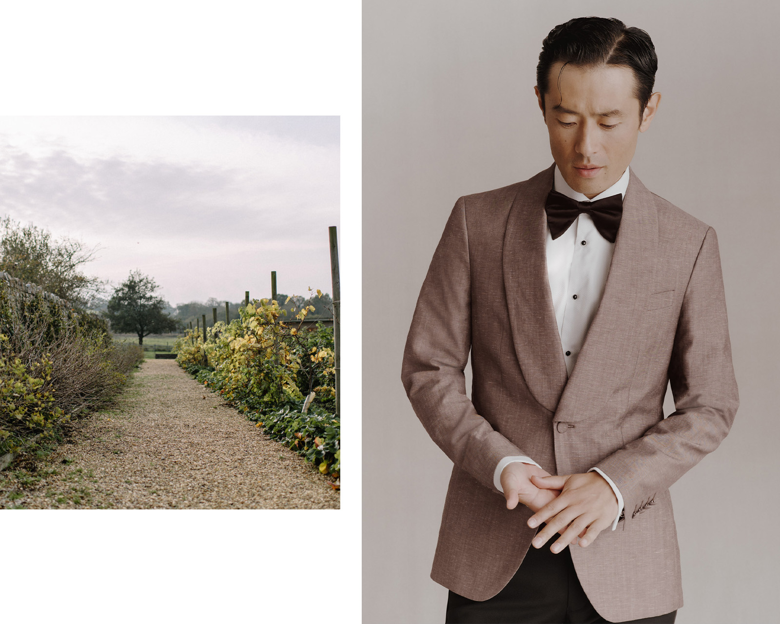 An image of a vineyard beside a man in a charcoal suit.